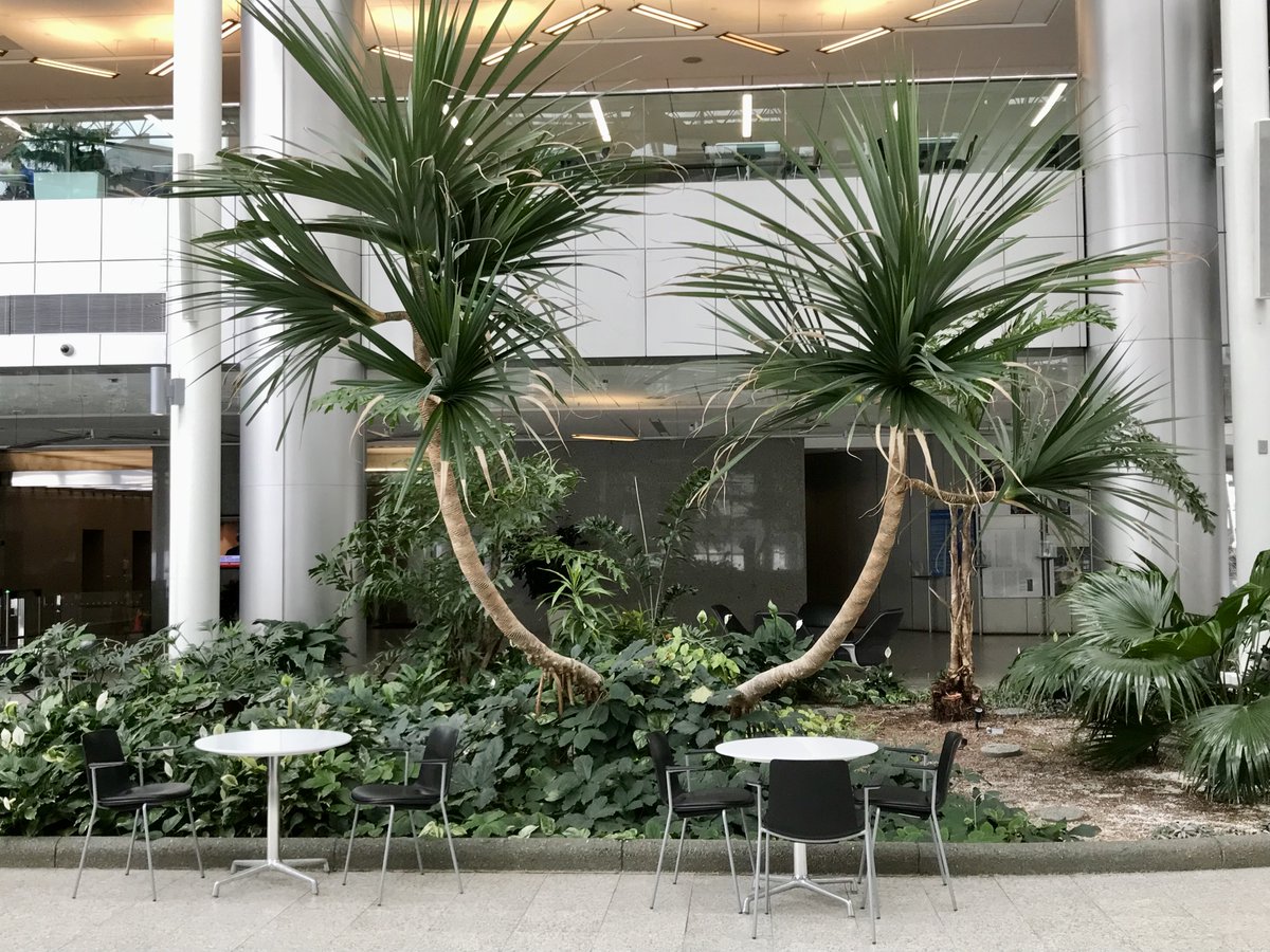 ICYMI: Nova Tower may soon have new owners with new vision - could be a game changer for downtown's West End. Learn more: bit.ly/42rvQdB <a href="/DowntownWestYYC/">Downtown West Community Association</a> <a href="/DevaniAlkarim/">AlkarimDevani</a> <a href="/BILDCR/">BILD Calgary Region</a> @almoonir <a href="/JAFurness/">Jordan Furness</a> <a href="/kathleen_petty/">Kathleen Petty</a> <a href="/Halfstep/">Stephen Hunt</a> <a href="/lrojek/">Lucas Rojek</a> <a href="/ucalgarysapl/">School of Architecture, Planning and Landscape</a> #downtowncalgary #yycccc