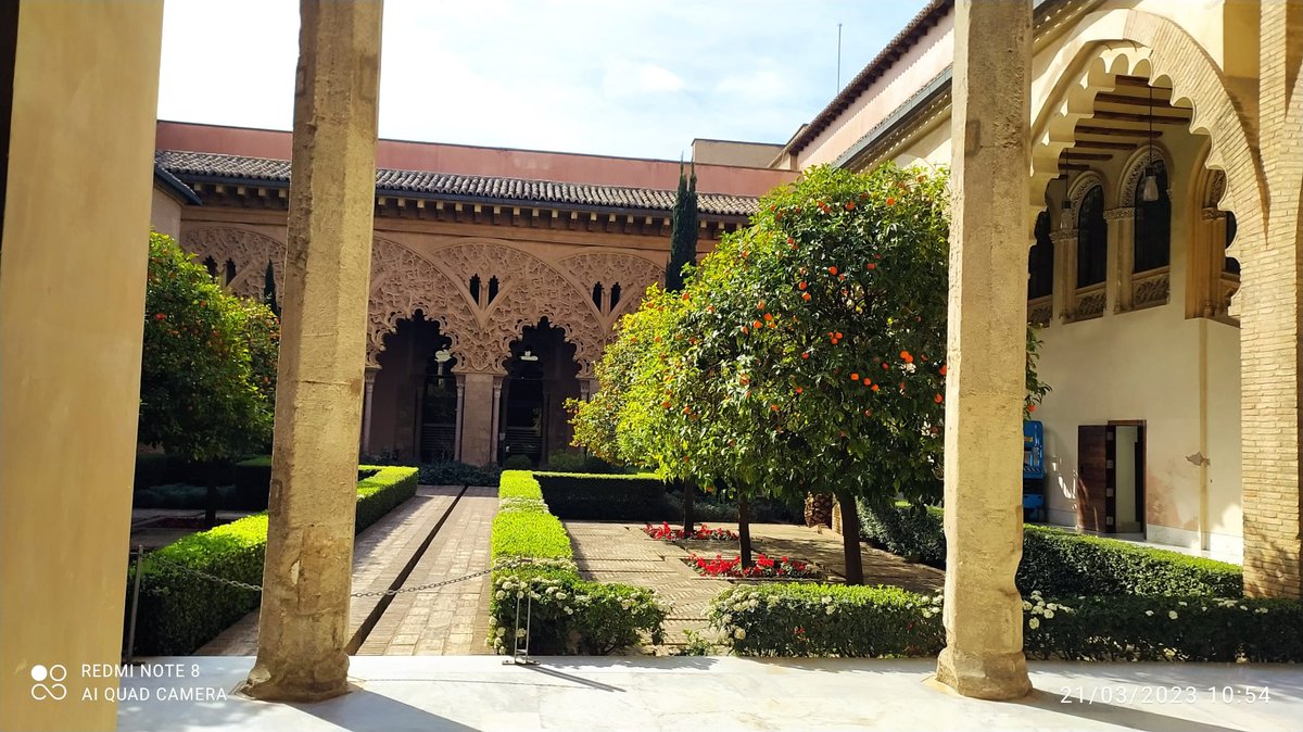 EPACasetas's tweet photo. Esta mañana hemos visitado el Palacio de la Aljafería.
Varios siglos de historia de nuestra ciudad y de Aragón dentro de este representativo edificio. Edificio que esconde interesantes secretos. Sorprendente el hemiciclo donde se reúne el Parlamento de Aragón. #DisfrutayAprende https://t.co/U5KavlP1g4