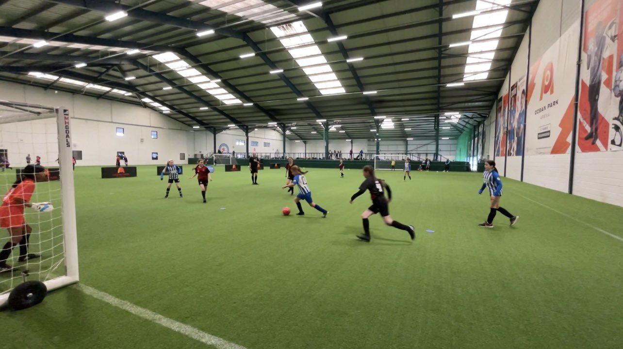 Ocean Park Arena (oceanparkarena1) / Twitter