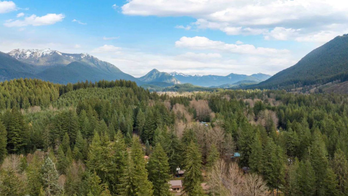 visitmtrainier's tweet image. Spring is here, and we're celebrating with a special offer! Stay two nights at participating Mt. Rainier National Park cabins and get the third night free. Who's ready for some mountain relaxation? Book now: visitrainier.com/top-travel-dea… #springgetaway #MtRainier #cabinlife