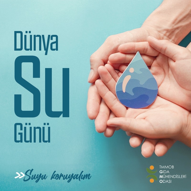 Suyu koruyalım, geleceği koruyalım 🌊

🔗 gidamo.org.tr/genel/bizden_d…