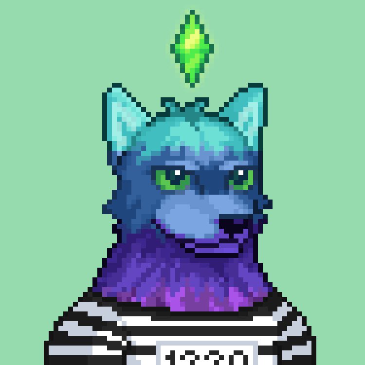 Rico Shillington tweet media