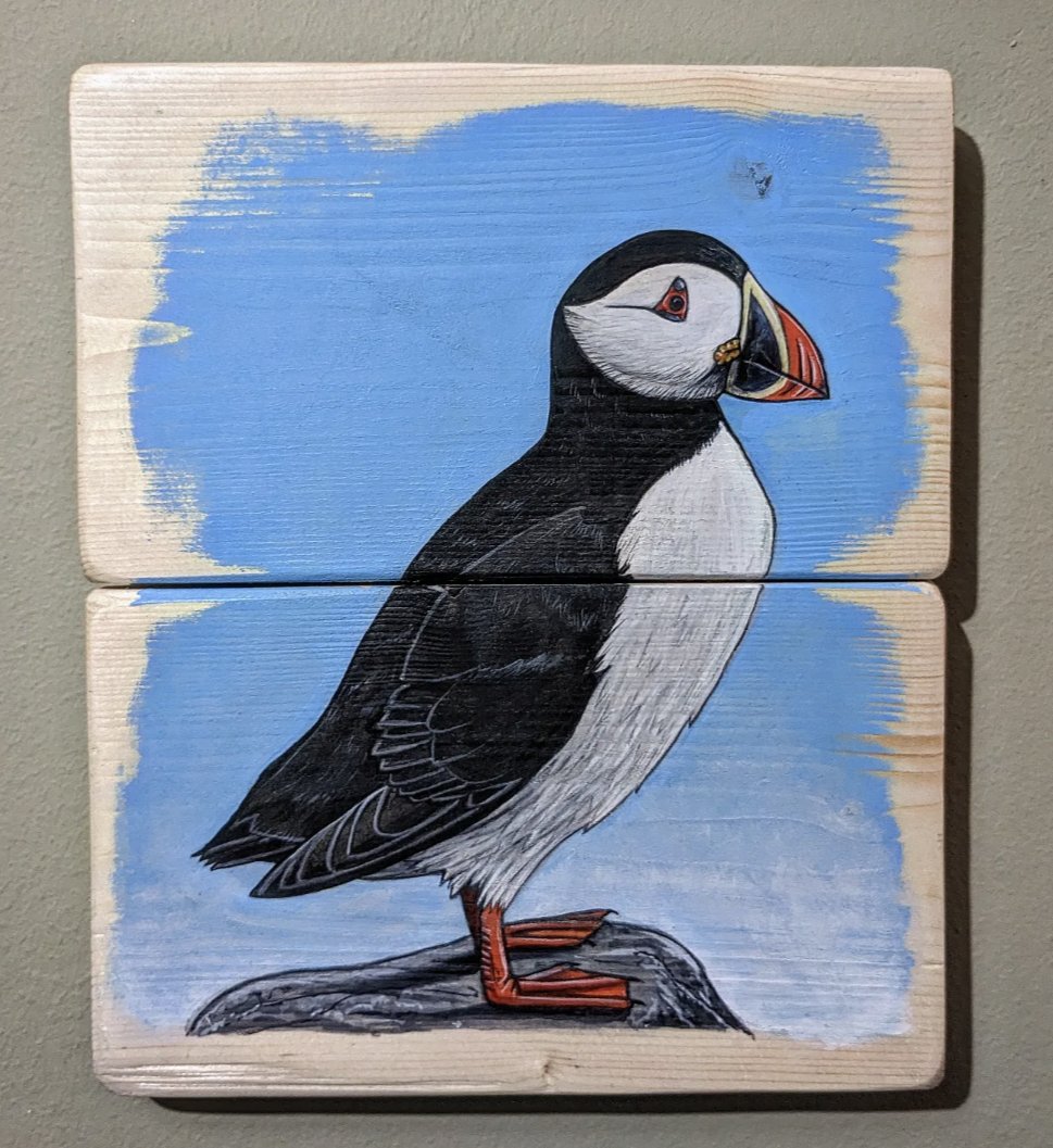 A braw wee puffin painting

#puffins #scottishseabirds