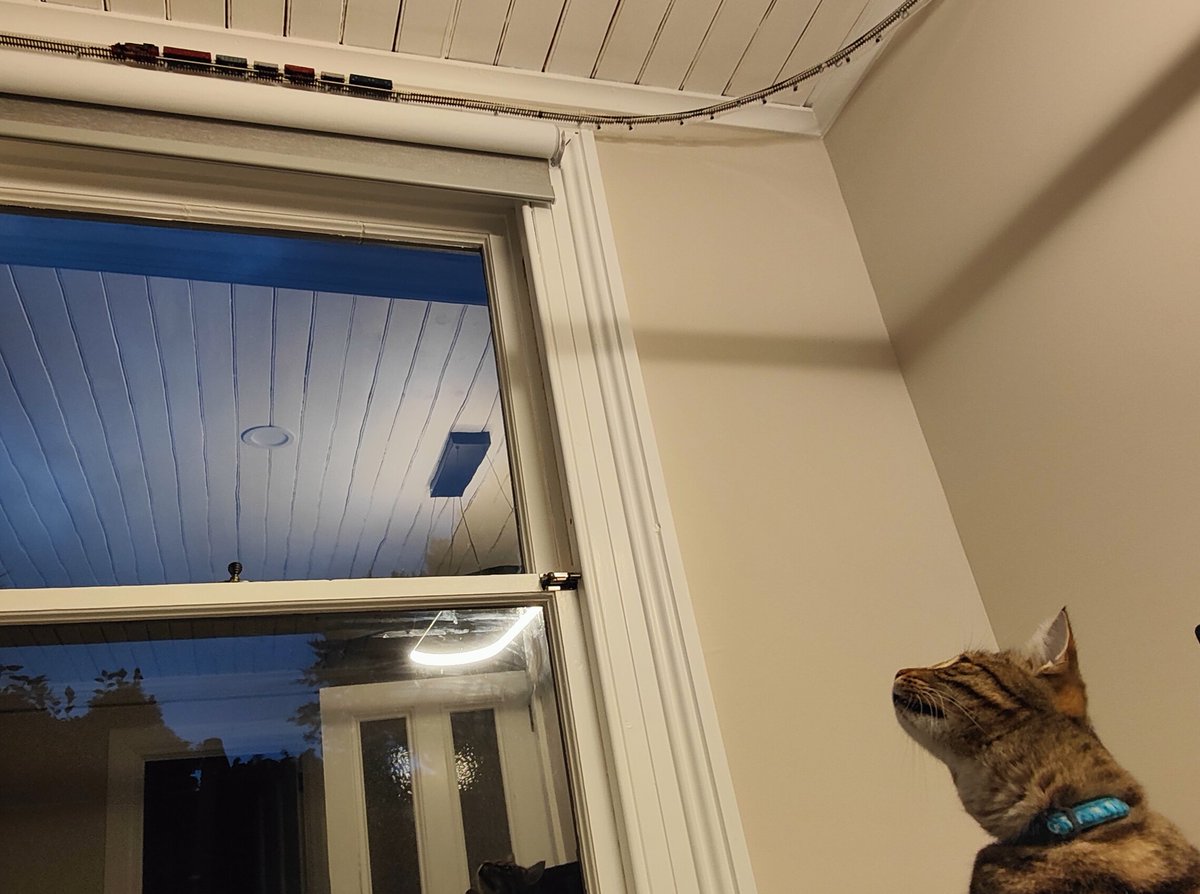 rantydragon's tweet photo. You put one #littletrain back on track.... #CharleyTheCat https://t.co/ZfIXGPPvjb