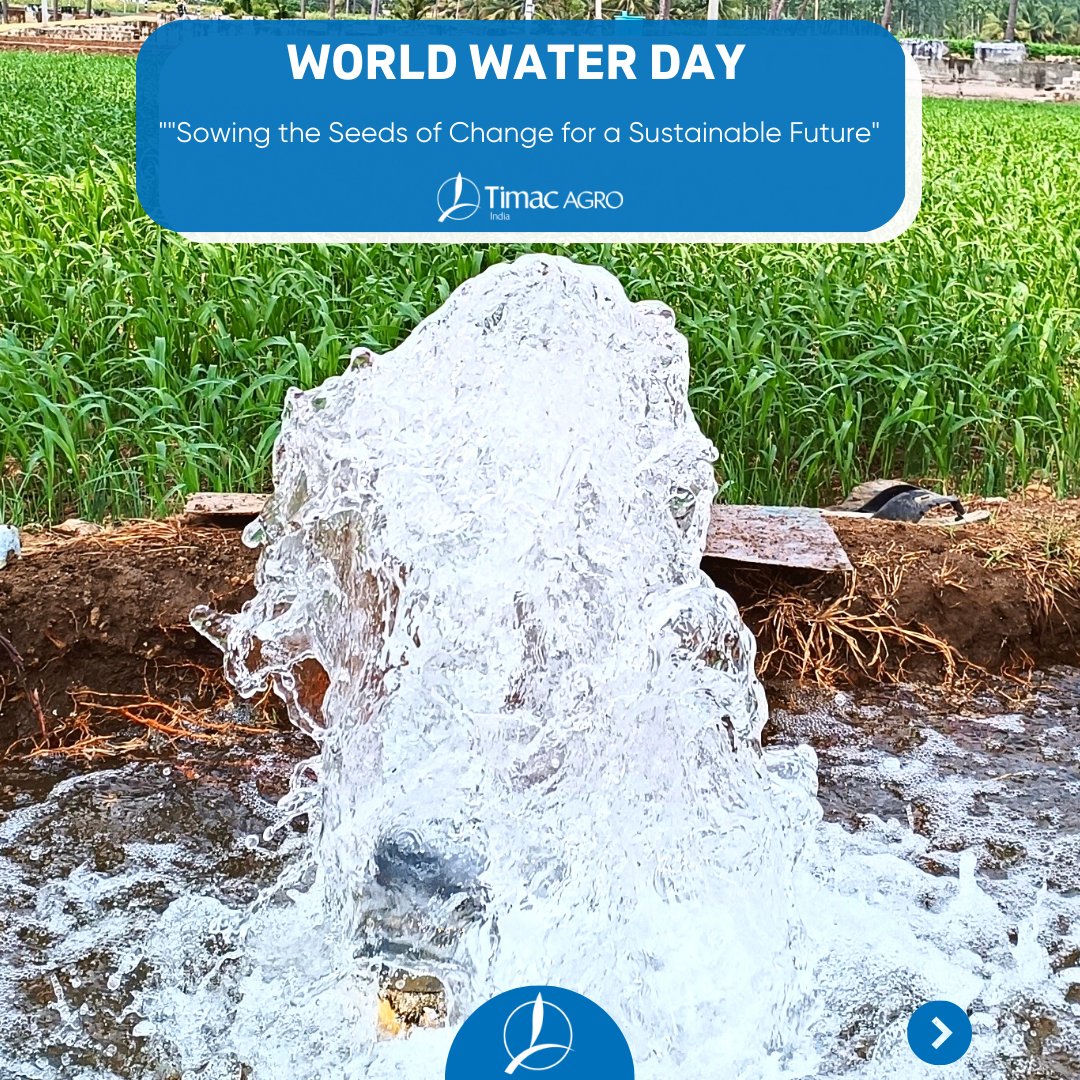 In honor of World Water Day, TIMAC AGRO  is proud to commit to upholding sustainable practices that ensure the preservation of our most precious resource: water. We strive to keep our water clean and clear for generations to come, recognizing that water is the elixir of life.