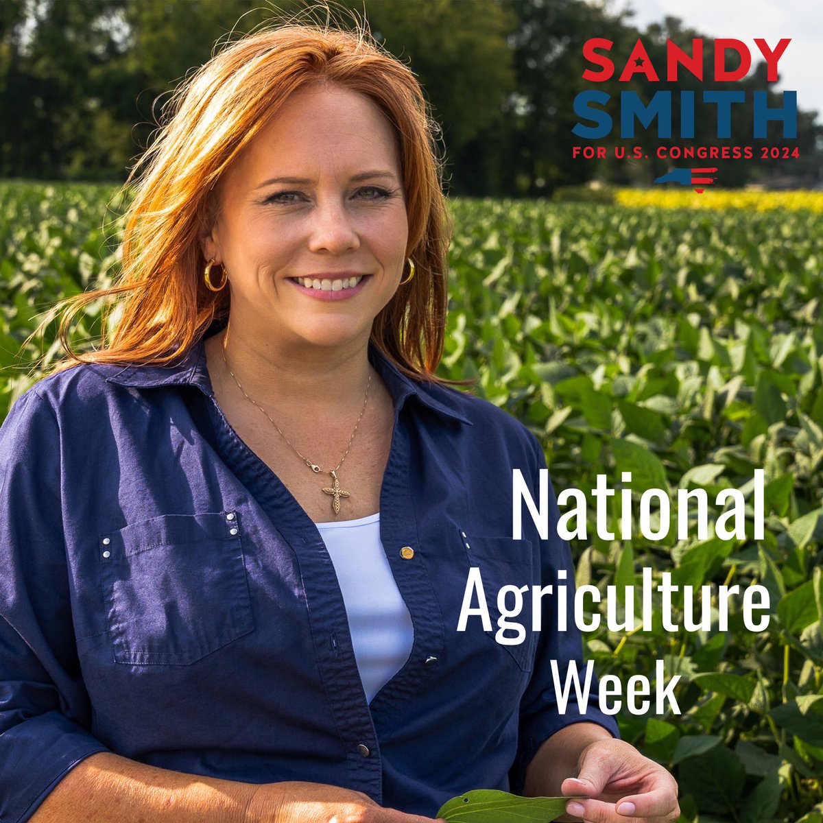 BlueSkyClearsMind on Twitter "RT SandySmithNC This week, we