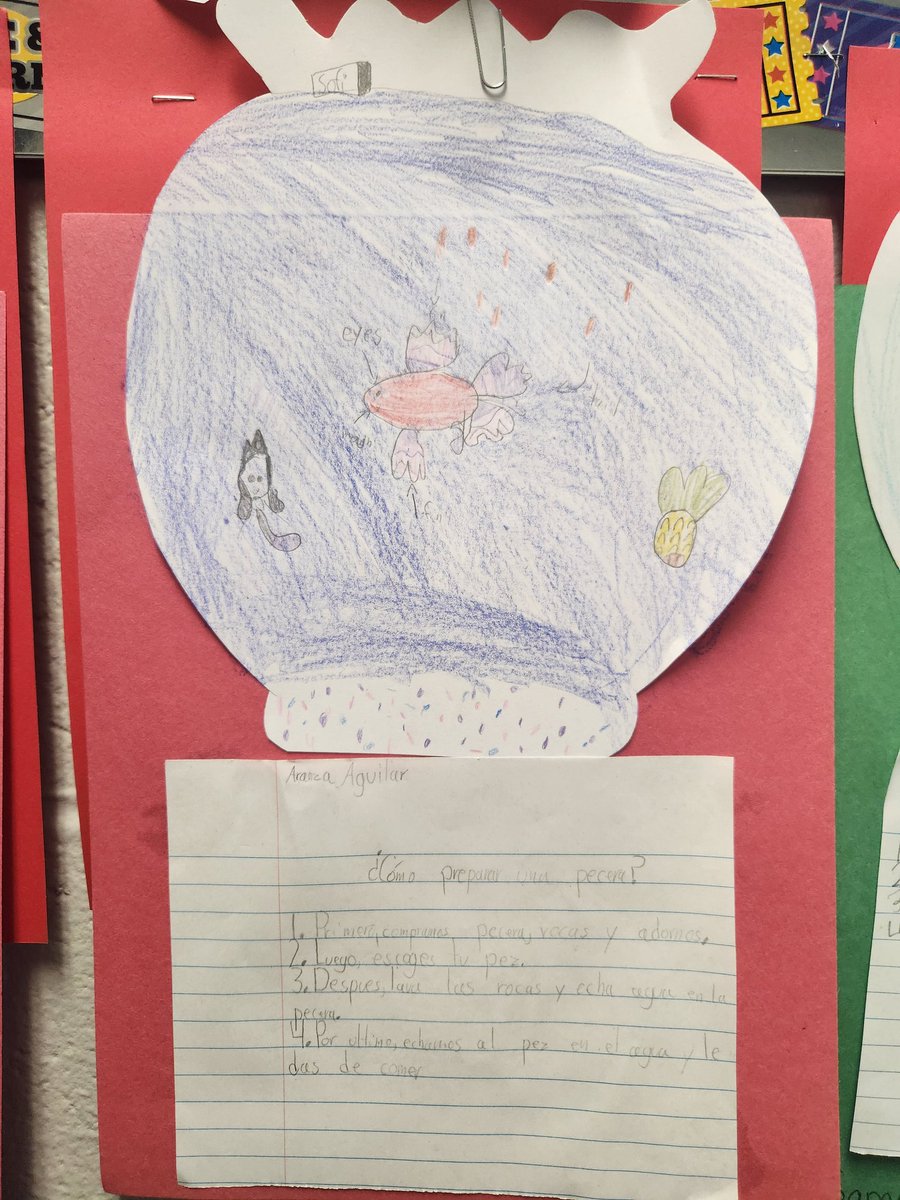 Karlacruzk's tweet photo. 🐠Today was super fun! We read about how to take care of a fish and we wrote the steps of setting up the fish tank. Cherry on top!! We got our own pet fish!!
Tomorrow we will be graphing 📊  results for the pet name.
🐠 
@HumbleISD_RPE 
@Humble_Science 
@burke_shannan
@HumbleISD https://t.co/B5ep7MFluR