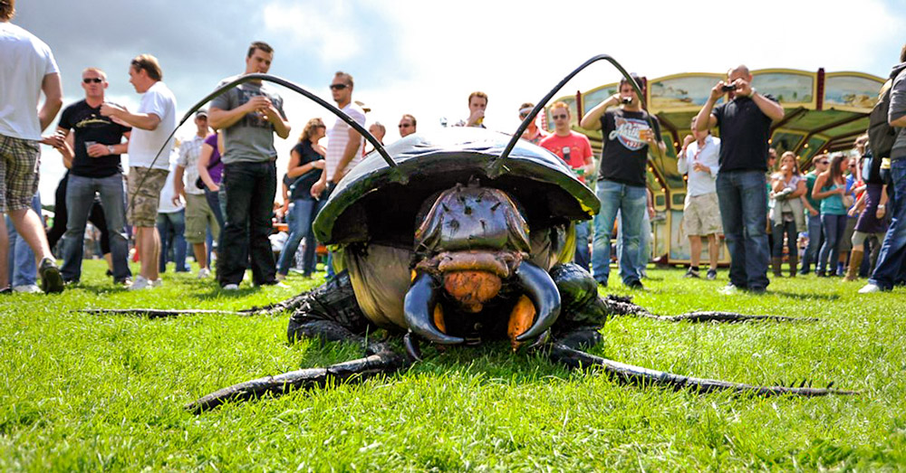 bigbugsact's tweet image. First day of Spring! BIG BUGS are taking on new gigs! @bigbugsact – mailchi.mp/43b0c3de11ee/b…