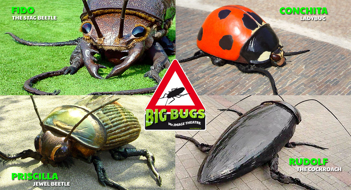 bigbugsact's tweet image. First day of Spring! BIG BUGS are taking on new gigs! @bigbugsact – mailchi.mp/43b0c3de11ee/b…