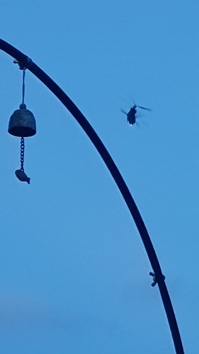 And give us our daily Chinook