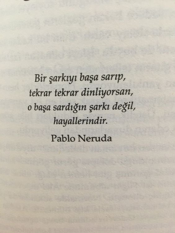 Ertu 🐨 (@ertuucandann) on Twitter photo 