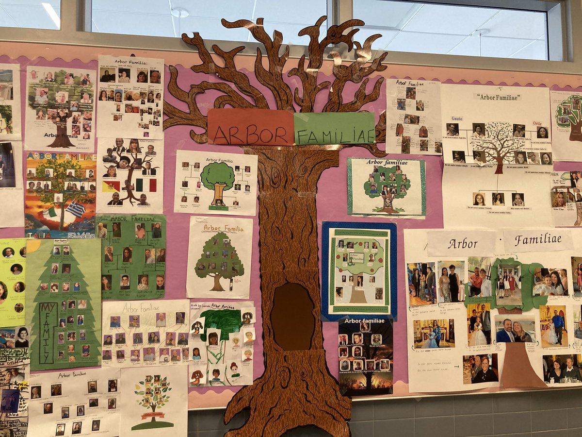 ludovic33426400's tweet photo. Awesome job Latin students!! Out Arbor familiae is finally up!! Latin is always fun 🎉🎉 #6grade #genesis @XaverianHS #clippers 🇮🇹 https://t.co/tiCCZx77k3