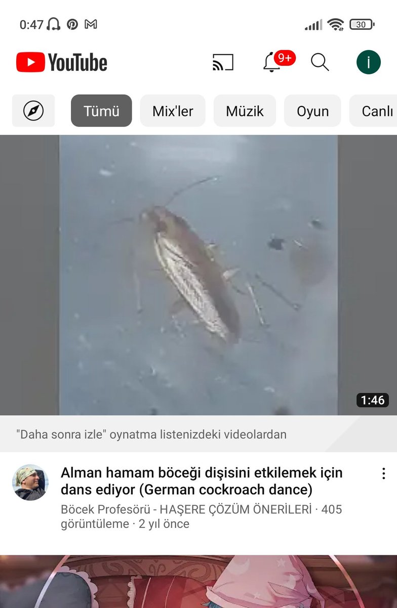 leylimley00's tweet photo. Gel ya bir şeyler filan izleriz https://t.co/NxEuWW9ean