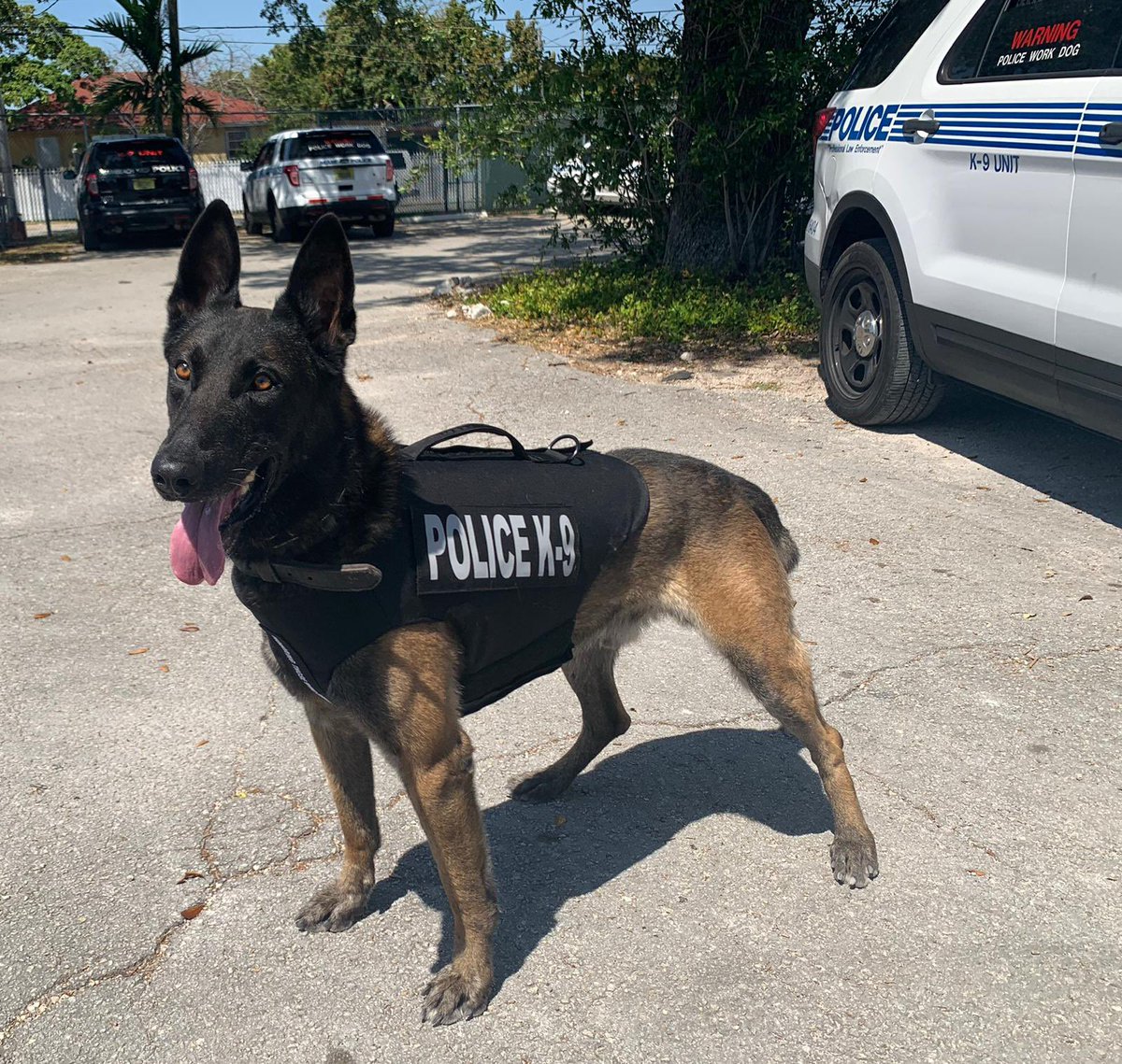 Miami PD tweet media