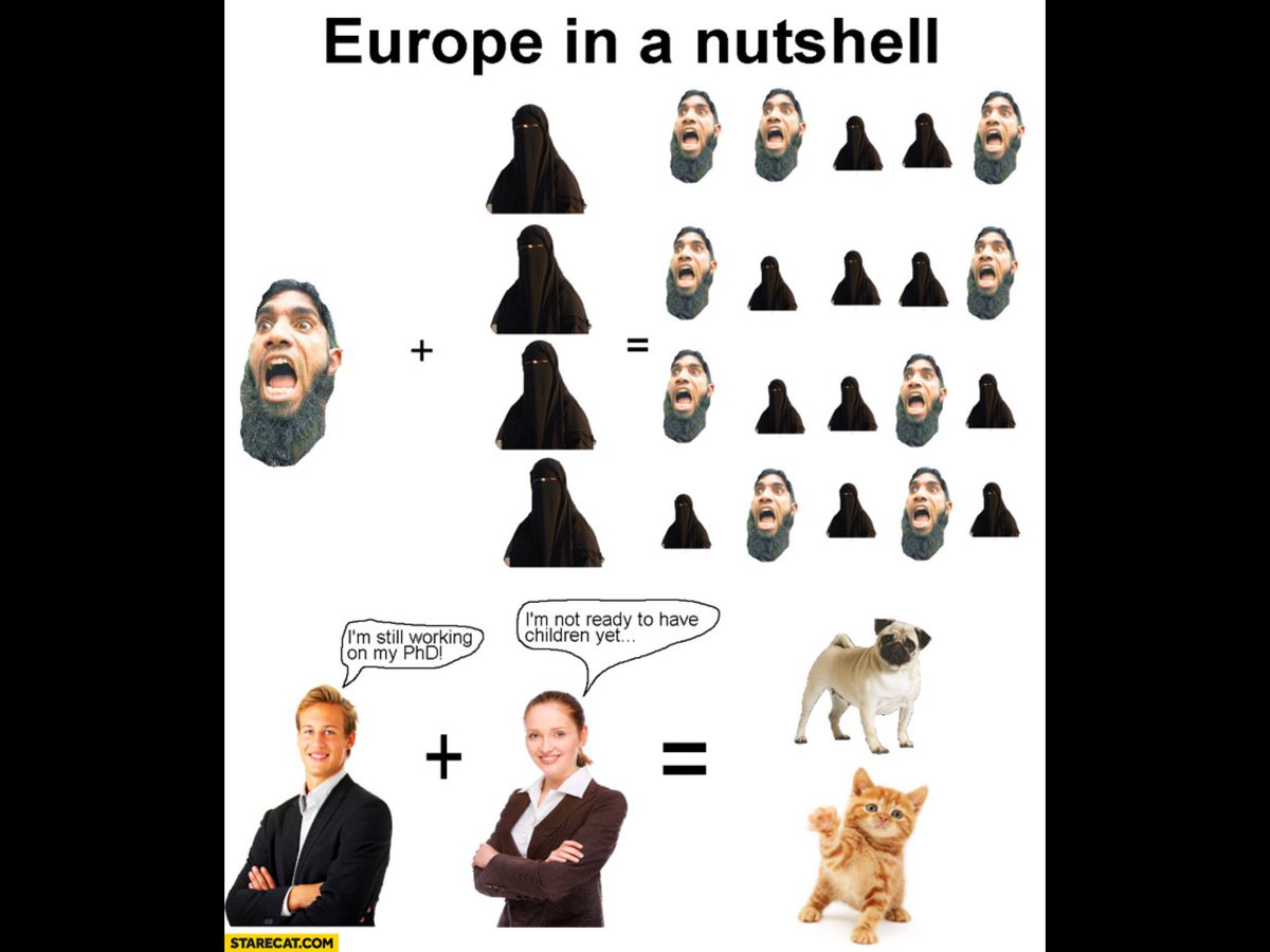 FouadBoussetta's tweet photo. @AliCologne #Demographics do spell the future of nations... #Germany #Deutschland #Islamisation #Islamization #Europa #Europe #EU #UE #natality #immigration https://t.co/ZQNKLqTZyu