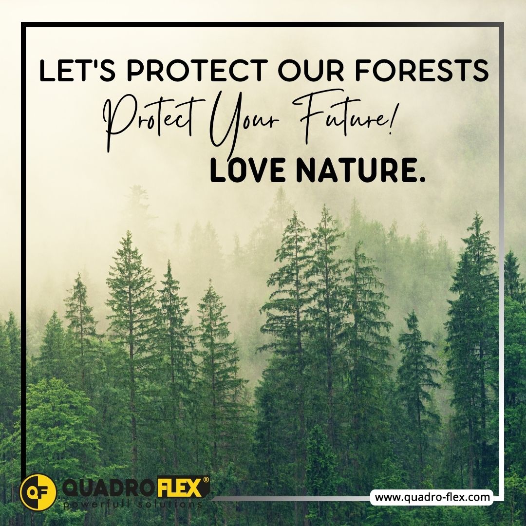 QuadroFlex's tweet image. Protect your forest Love Nature
Ormanını koru. Doğayı Sev
#orman #ormanhaftası🌴🌲🌳 #doğa #doğayıkoru #forest #forestweek🌴🌲🌳 #nature #protectnature
