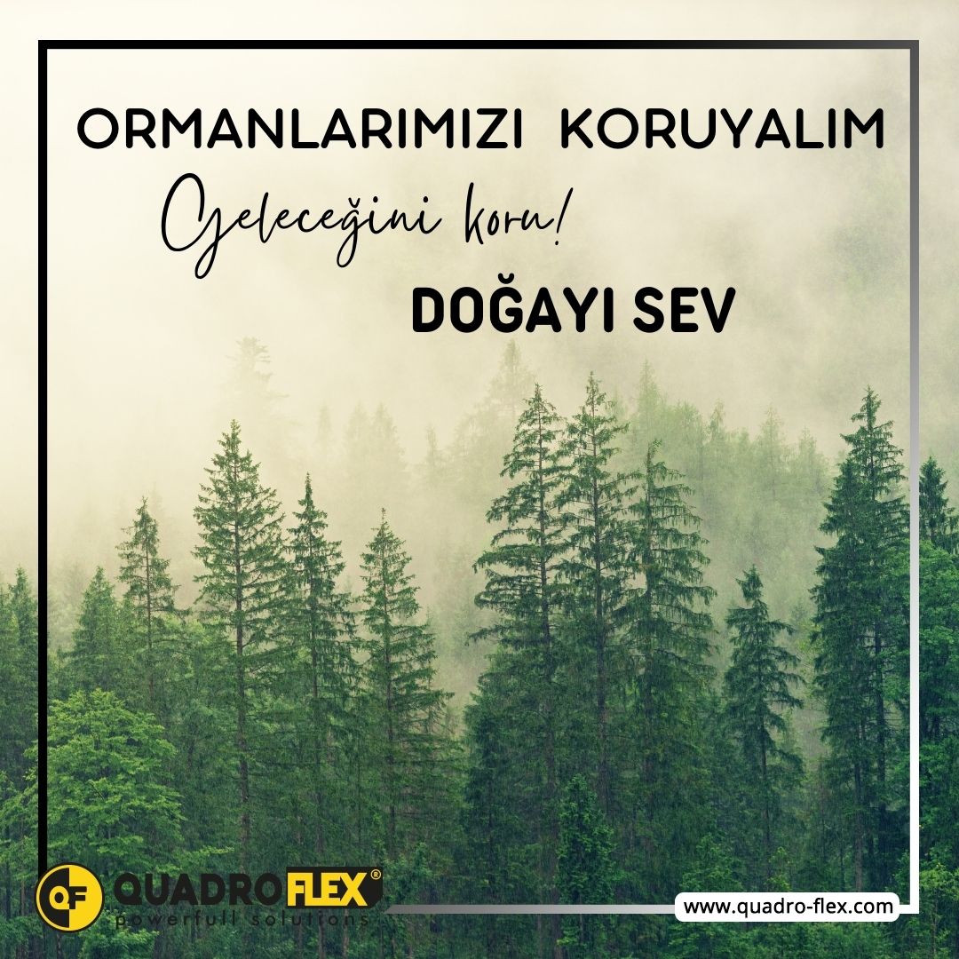 QuadroFlex's tweet image. Protect your forest Love Nature
Ormanını koru. Doğayı Sev
#orman #ormanhaftası🌴🌲🌳 #doğa #doğayıkoru #forest #forestweek🌴🌲🌳 #nature #protectnature