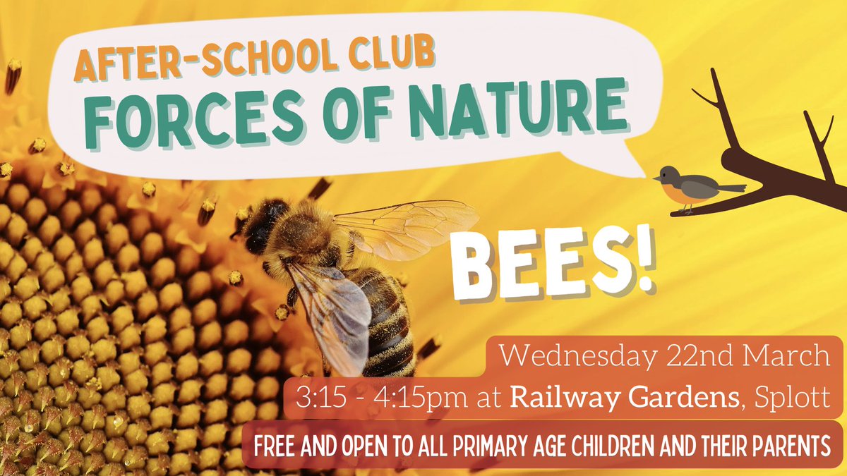railwaygardens's tweet photo. Tomorrow! Buzz over to the Gardens for after school club and make a #bee mobile with natural materials, discover the bee lifecycle and check out our snazzy new solitary bee nest box. 🐝🐝🐝 https://t.co/ZZNgwFDZAX