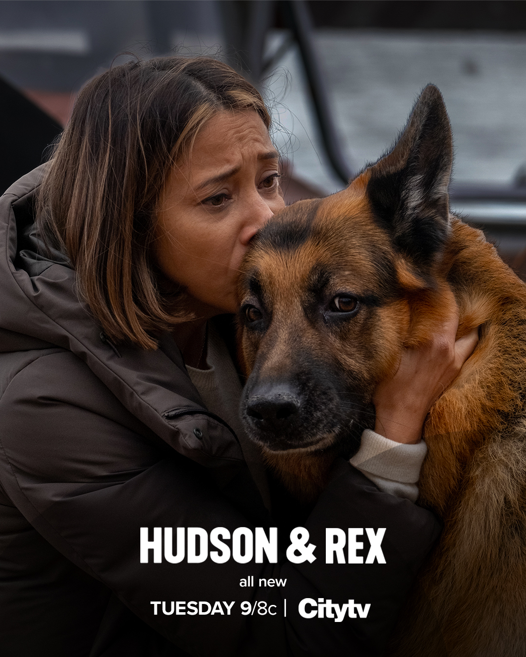 Hudson & Rex - Citytv  Watch Full TV Episodes Online & See TV