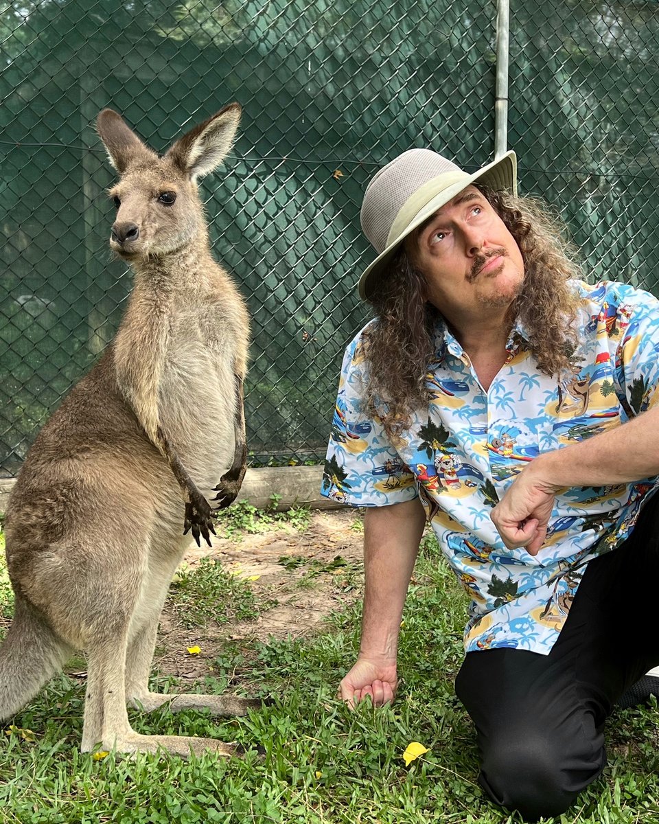 alyankovic's tweet photo. Arrivederci, Australia!  We had so much fun - thanks for all the sold-out shows!!  Hope to see y’all again real soon.

HAWAII… here we come! https://t.co/cWERpuRgqw