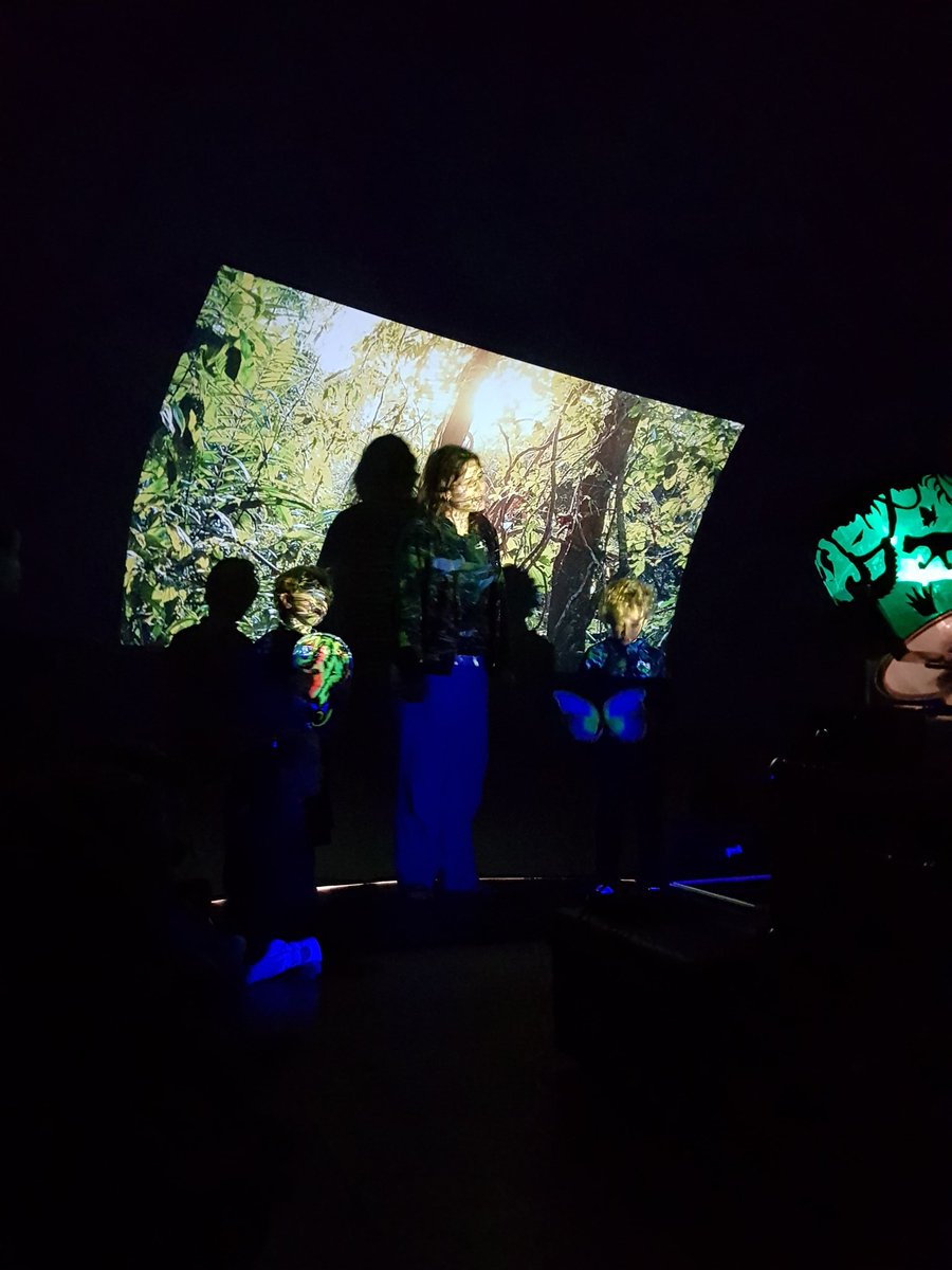 The Dell Primary School tweet media