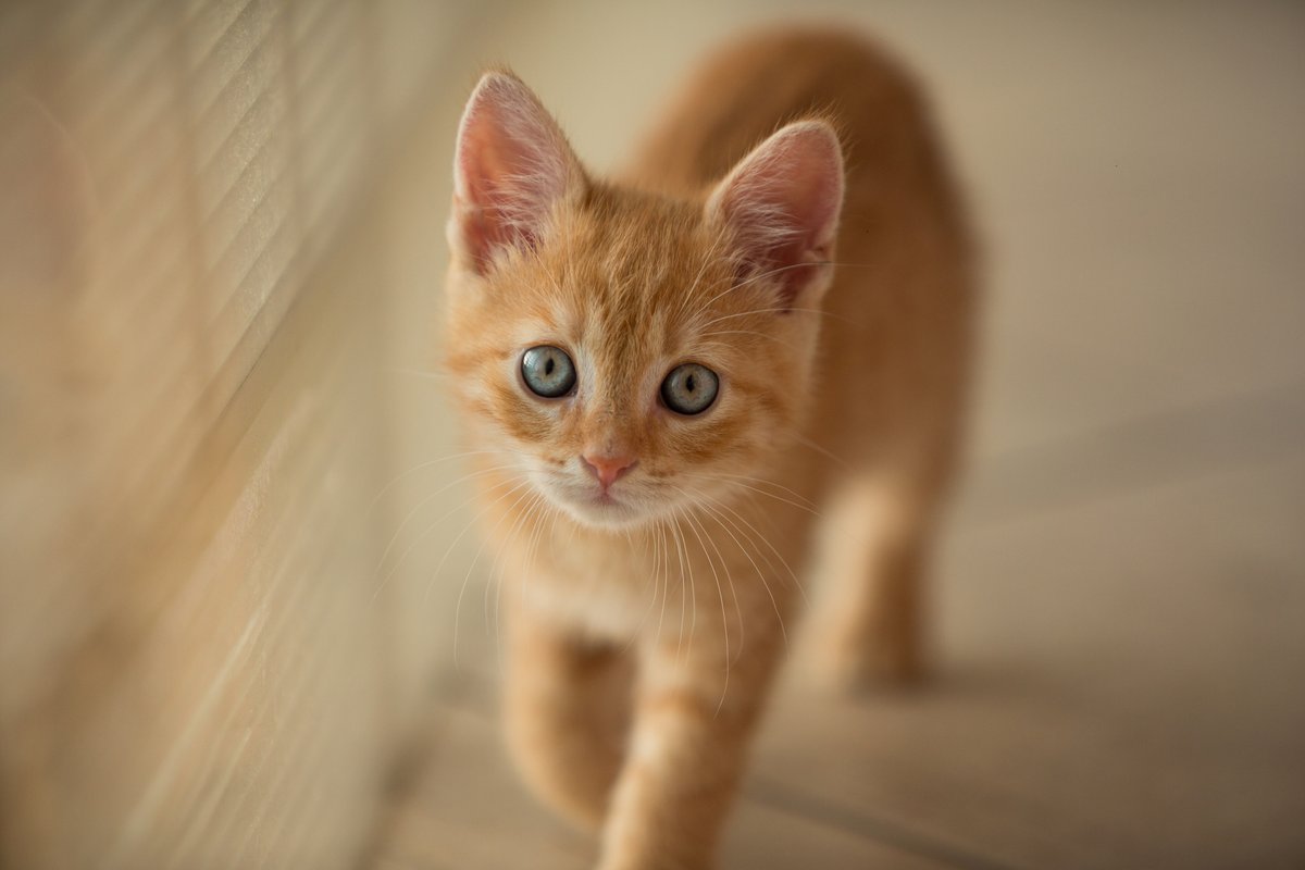 <a href="/marie_nassar/">Marie Nassar</a> Hello my dear Marie 🤗🌷Happy Tuesday 
Have a lovely day and a wonderful week my sweet friend 💐🐈😘
Much love and hugs 🤗🥰

♡♡♡🧡♡♡♡