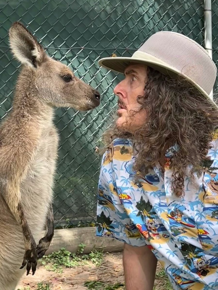 alyankovic's tweet photo. Arrivederci, Australia!  We had so much fun - thanks for all the sold-out shows!!  Hope to see y’all again real soon.

HAWAII… here we come! https://t.co/cWERpuRgqw