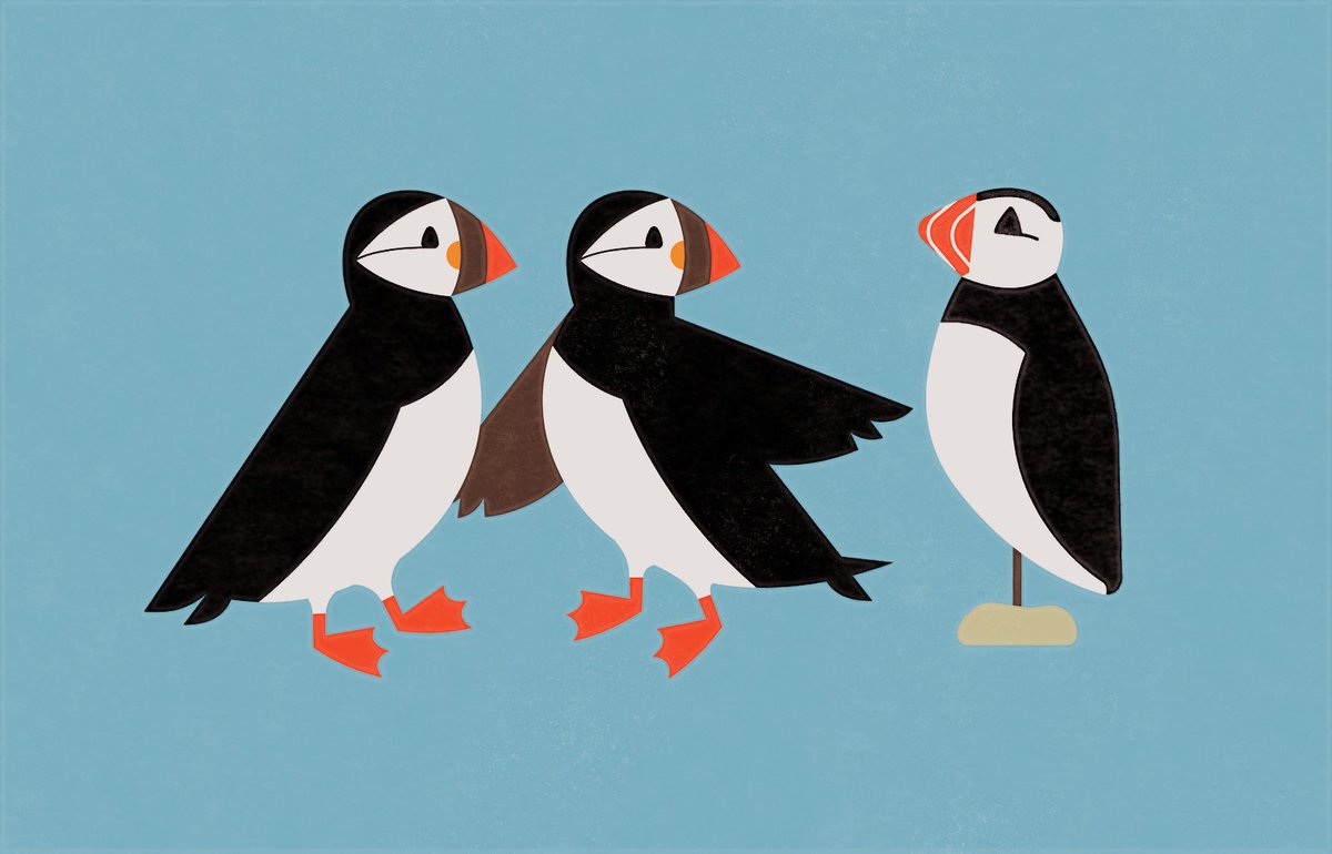 Alex Tomlinson 🦉 (@hootalex) on Twitter photo 