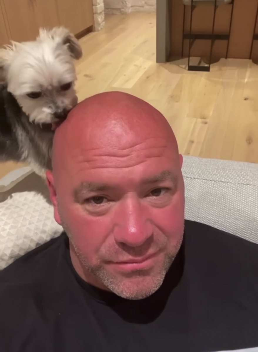 ConOfCombat's tweet image. A thread: Dana White screenshots I’ve  saved