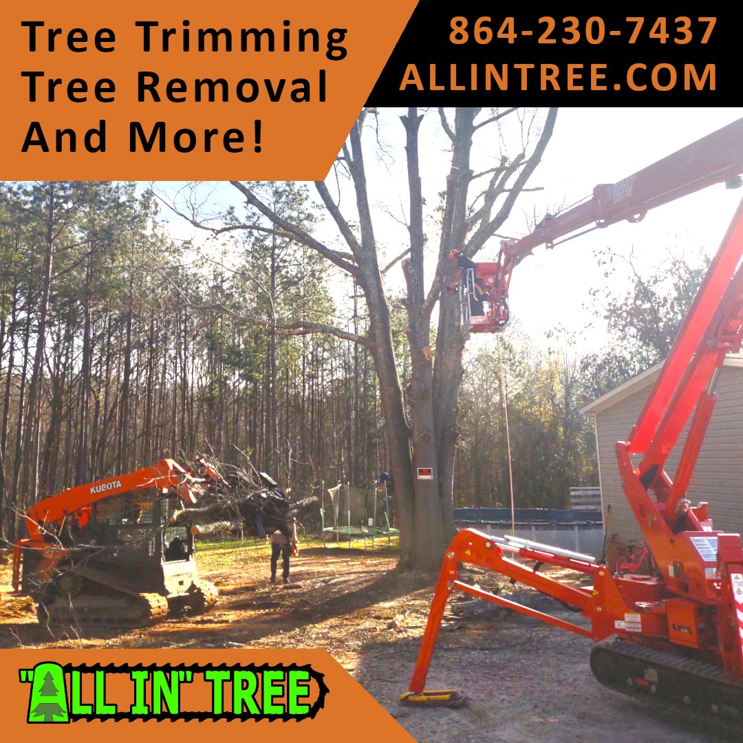 ALLINTREE's tweet photo. Call or text today and get a free estimate!  Let us help you take care of your tree and outdoor needs!  https://t.co/d21KU5feyt 864-230-7437 https://t.co/lJ4gzyNqeq