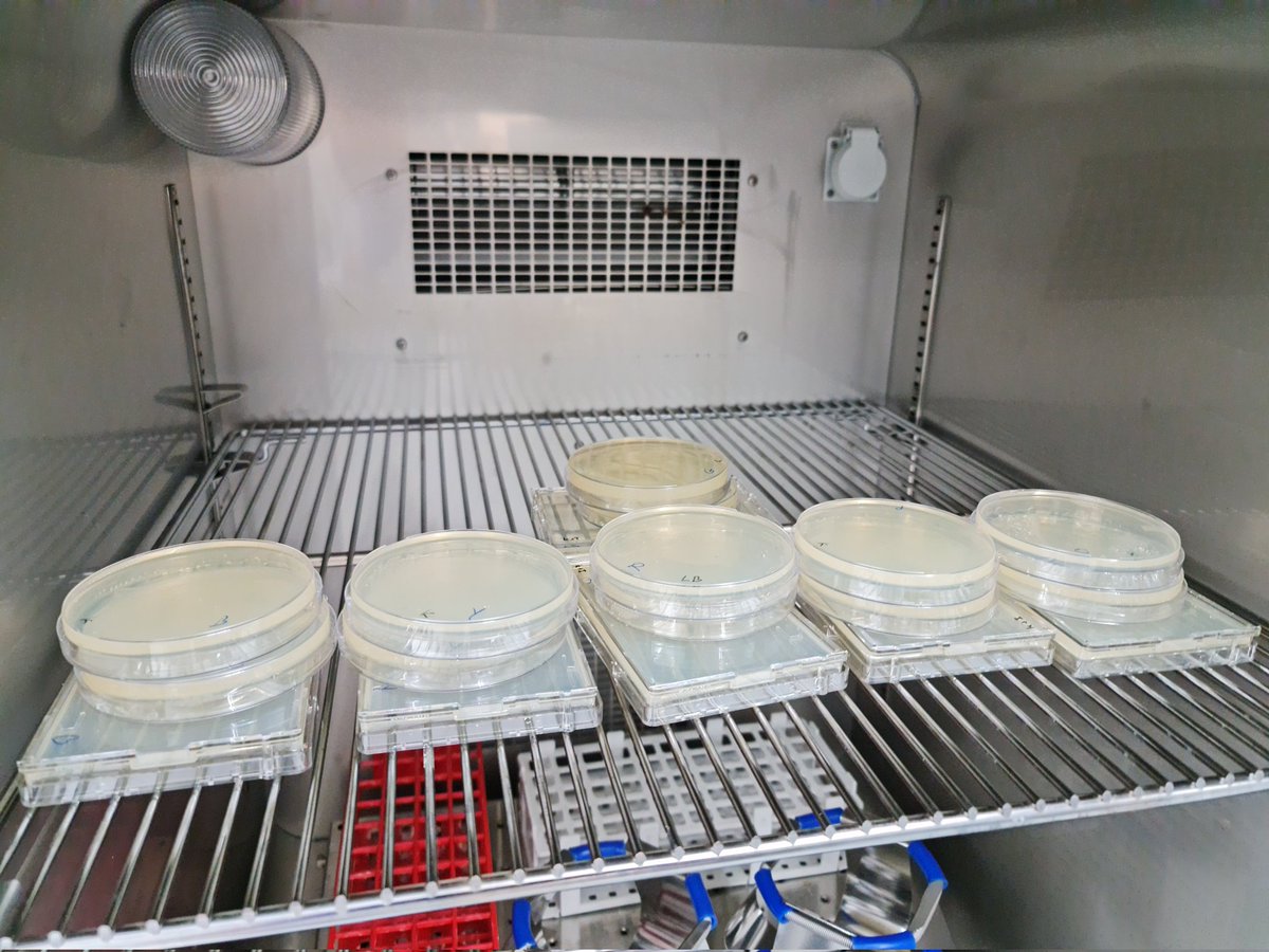 Gordon Wellman tweet media