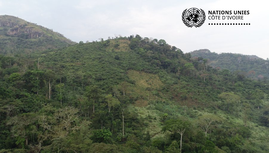 ONU_CIV's tweet photo. Ce 21 mars, la #JournéeInternationaleDesForêts est célébrée autour du thème "Les forêts et la santé".
La gestion &amp; l'utilisation durables des forêts sont essentielles dans la lutte contre les changements climatiques et contribuent à la santé &amp; au bien-être des populations. https://t.co/uRrPIb7VTF