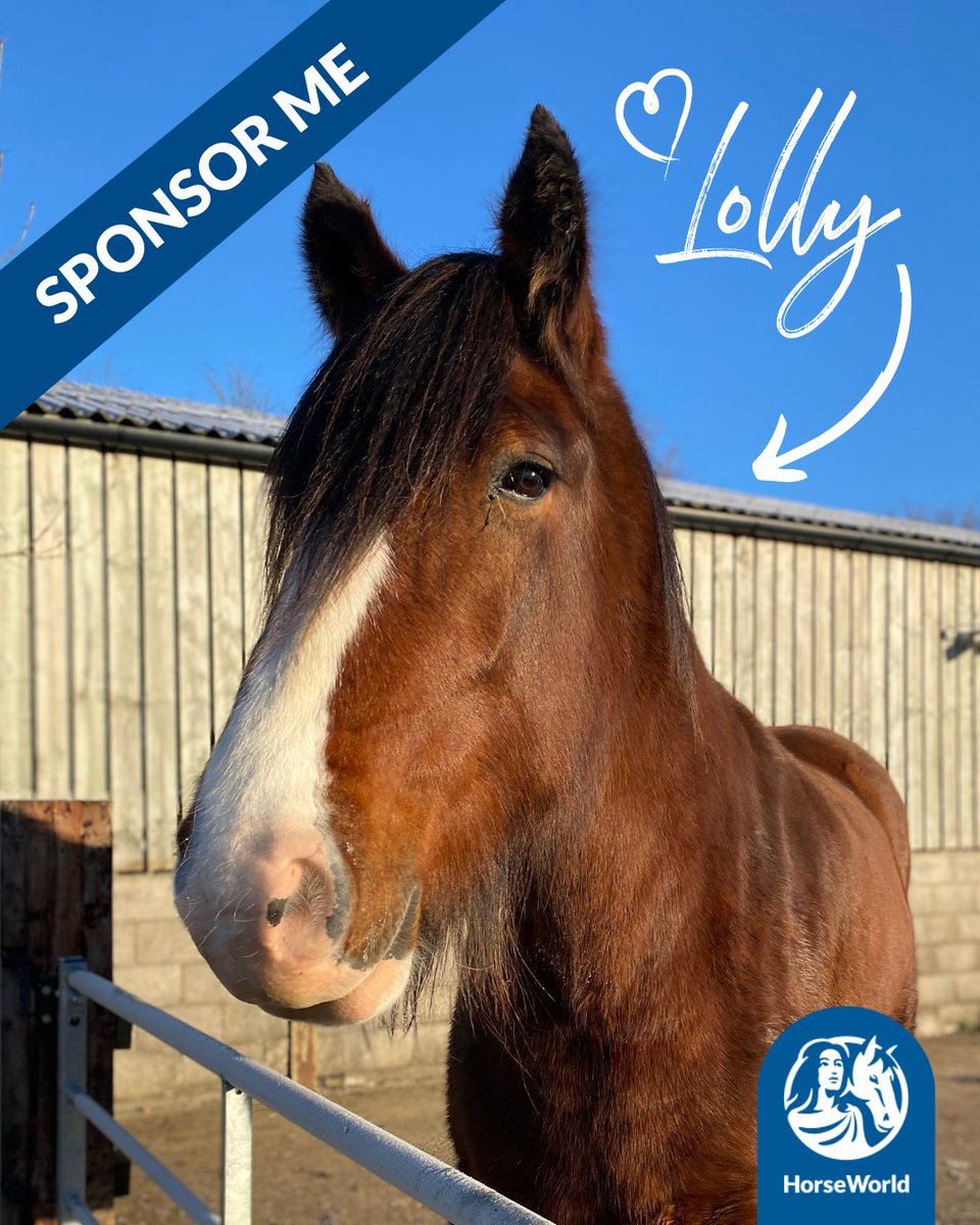 HorseWorld Hero Lolly has been added to the Sponsorship Scheme!🤩

Sponsor Lolly for £3 a month and you'll receive a pack full of goodies and invites throughout the year to special events where can meet this gentle giant!

Click here to sponsor Lolly👉 bit.ly/HWSponsor