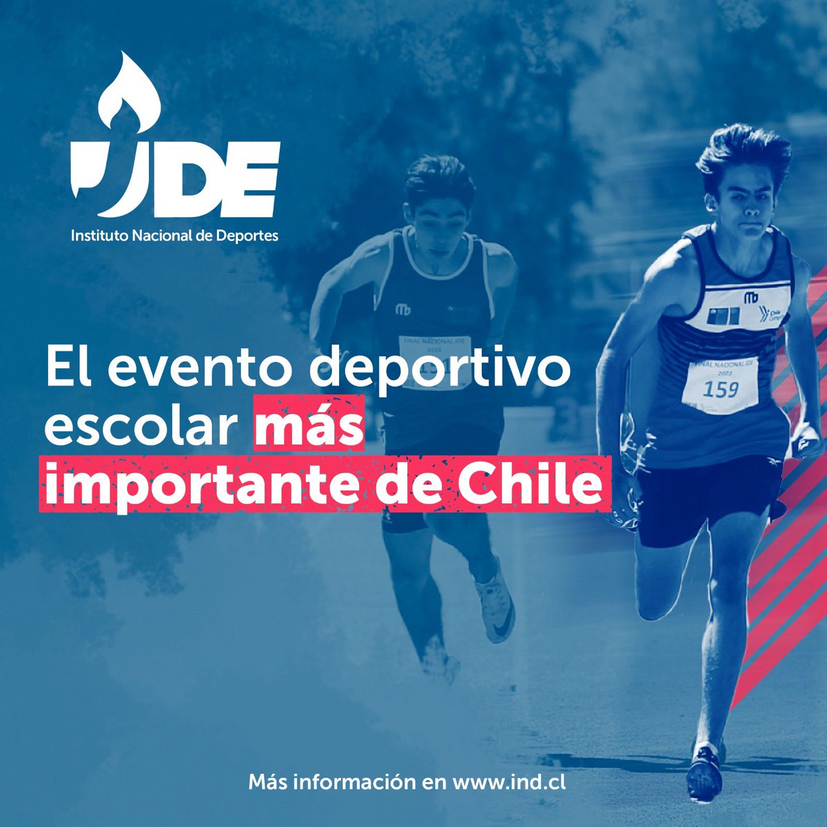 MindepÑuble tweet media