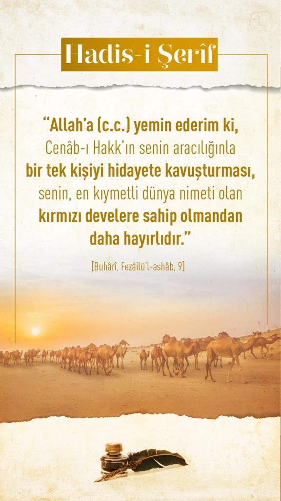 Allah için sevmenin, 
Allah için infak etmenin,
Allah için gayretin tadını bulmak, "Müminler kardeştirler" Ayetinin hikmetine mazhar olmak niyetindeyiz.
Kardeşlerine nefsi (kendisi) gibi sahip çıkan, sevgisinden ve malından bolca ikram eden imanın ve cömertliğin zirvesindedir.