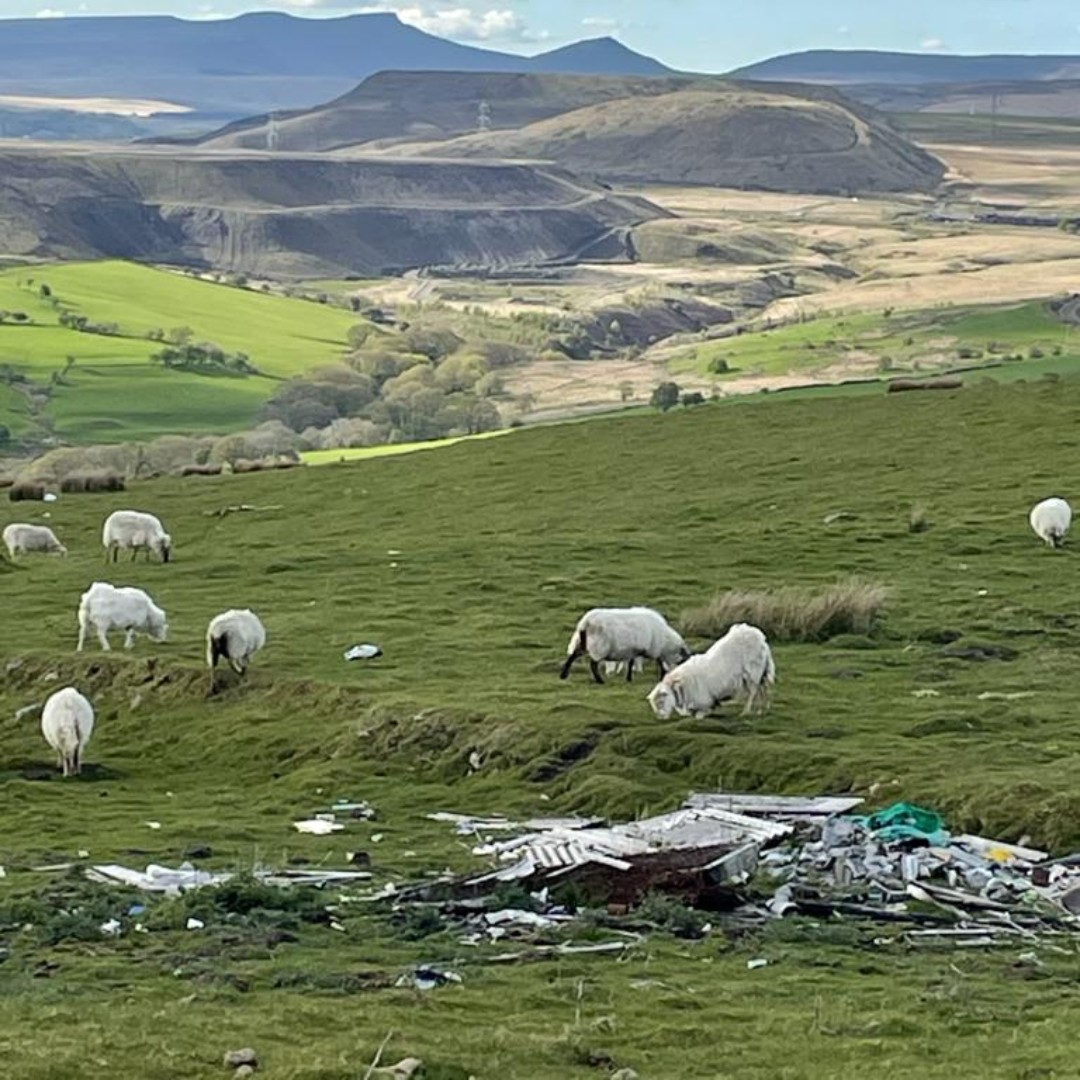 Comin Cydweithredol - Common Connection tweet media