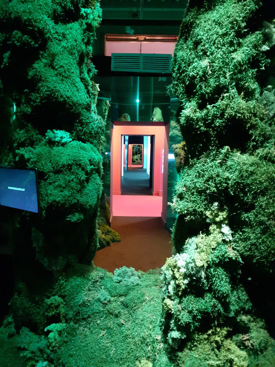 Avui hem inaugurat l'exposició #SomialaCiutat al <a href="/palaurobert/">Palau Robert</a> amb força assistència d'estudis d'arquitectura.