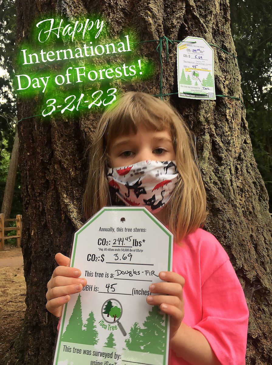 TreeMamaSEA's tweet image. Happy #InternationalDayofForests! 

Are you ready to save #UrbanTrees ? - then GO NOW and download #iSeaTree (V4)!

We help you identify, track, AND calculate the CO2/H2O (and much more) benefits of #trees!

#UrbanForestry #forest #tree #forestry

tinyurl.com/3327jte4