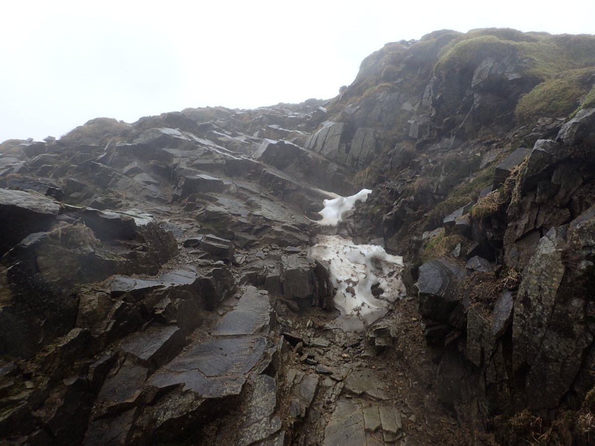 Fell Top Assessors tweet media