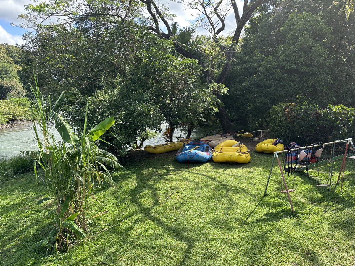 George Secor tweet media