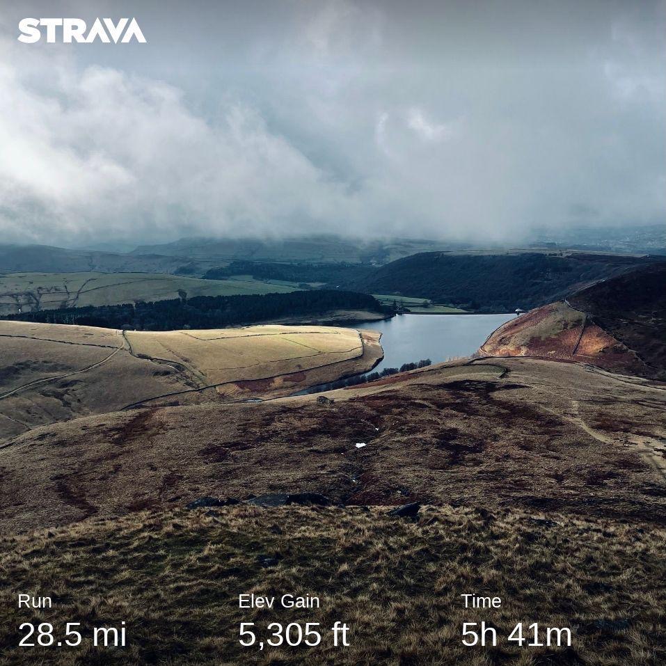 Mathew Lowe ✌︎ tweet media