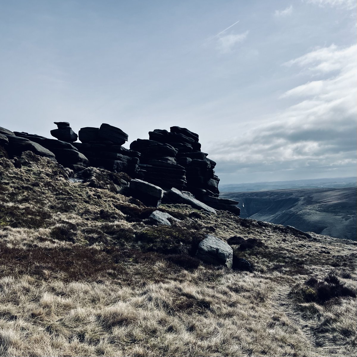 Mathew Lowe ✌︎ tweet media