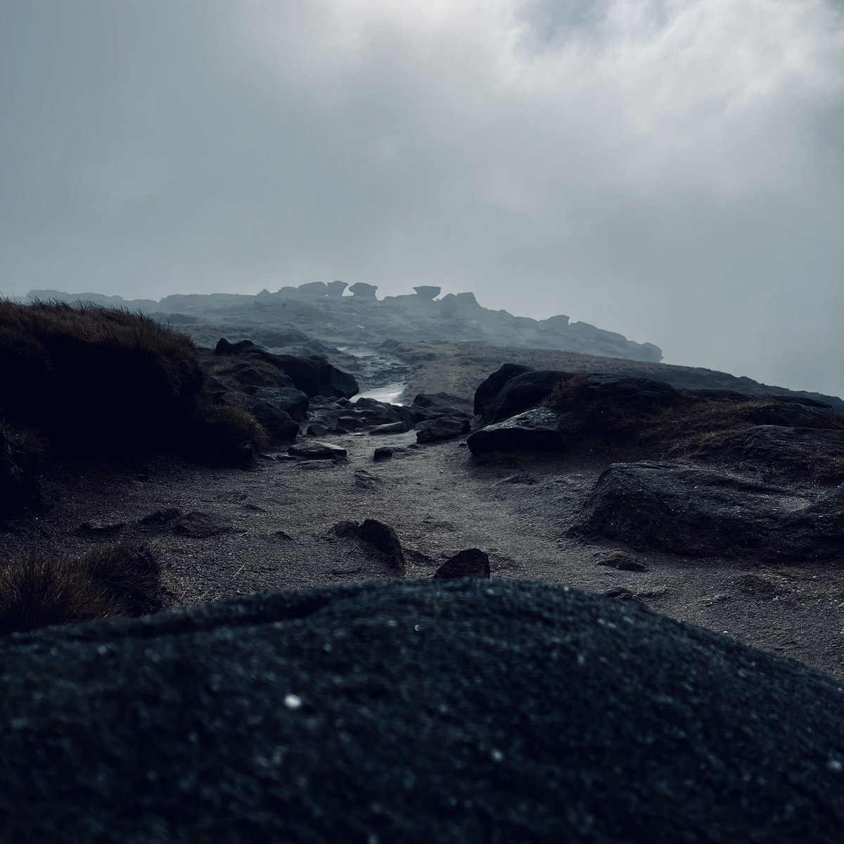 Mathew Lowe ✌︎ tweet media