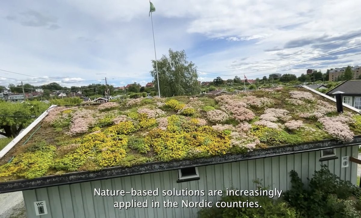NIVAforskning's tweet image. We are proud to be granted project # 3 by the @NordicCouncil in a series of projects addressing #NaturebasedSolutions: Policy developments in NbS in the Nordics. @cnenge will coordinate &amp;amp; @VTTFinland 🇫🇮 NORION 🇩🇰 ENSUCON 🇸🇪 @reykjavikuni 🇮🇸 contribute youtu.be/NPSY0Og4oRc