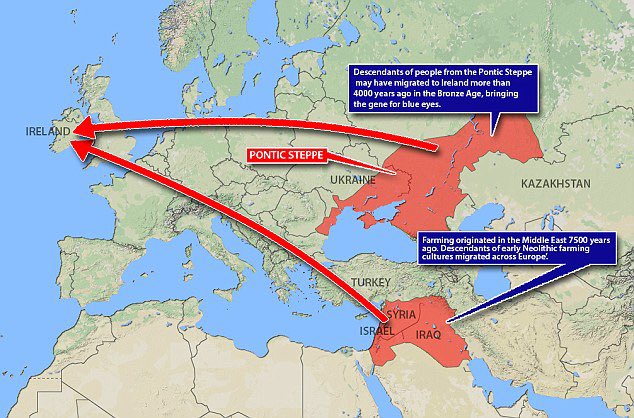 @doey_ann @RealGemmaOD But, all Anthropology will show is “#IrishDNA” is constantly changing & evolving for thousands of years and that it is made up of immigrants, invaders, refugees & visitors in steady trickles & waves over ,000s of yrs - some #IrishAncestors  were #Ukrainians, who gave us blue eyes