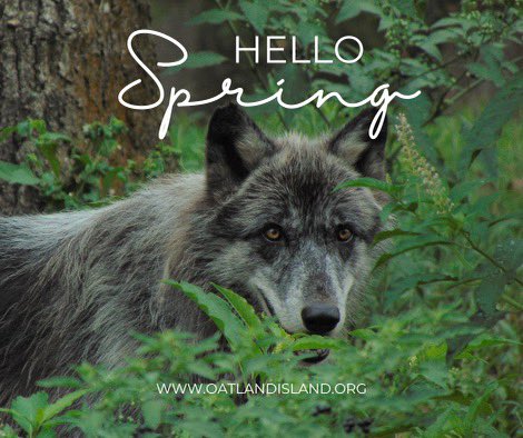 There might still be a bit of crisp in the air, but it's the perfect time to come walk the trails at Oatland Island! We also have a variety of events this month from Morning Birding Walks to our Spring Celebration. Join us for a beautiful time outdoors!
