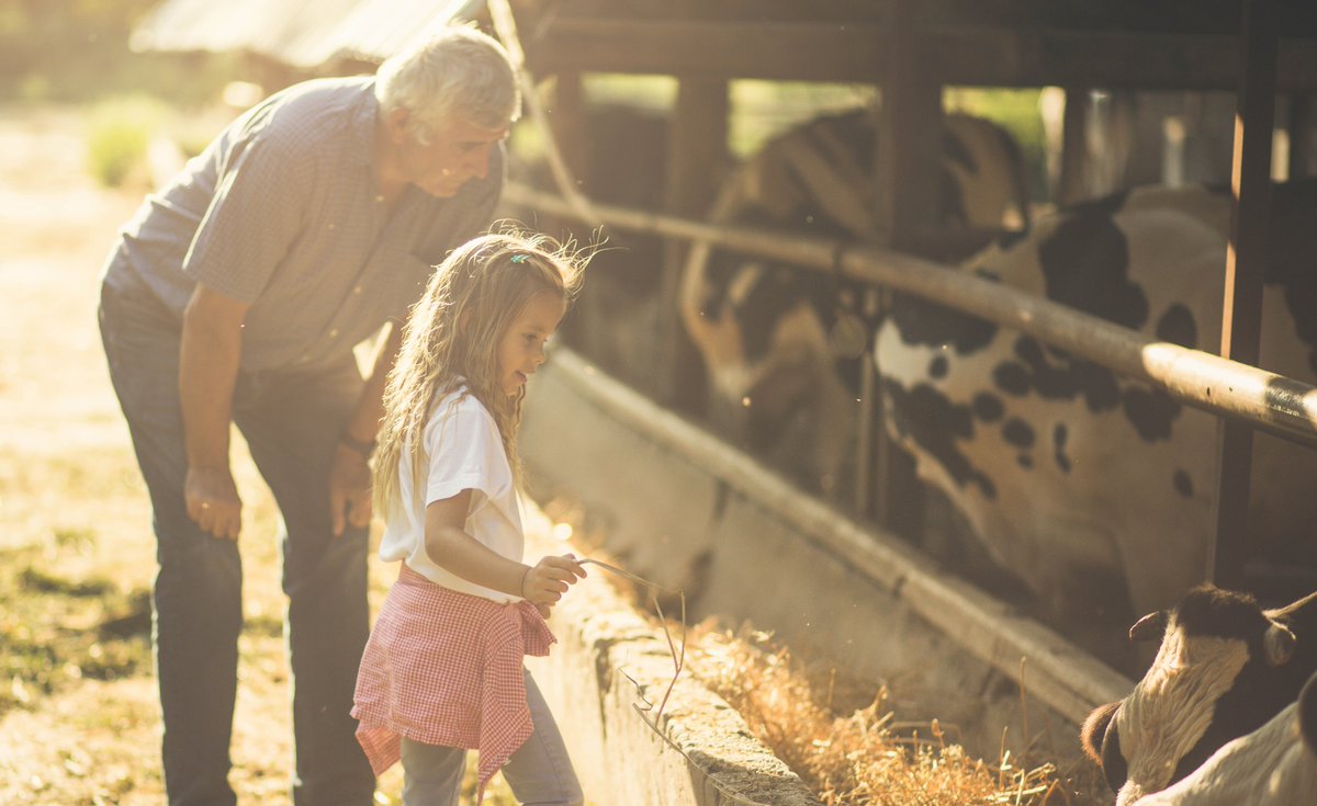 Did you know 1 acre of soybeans can produce more than 82,000 crayons? Or that 1 baseball requires 150 yards of wool? To mark #NationalAgDay, here are 50 facts you probably don't know about the people we can't live without: farmers. stacker.com/business-econo…