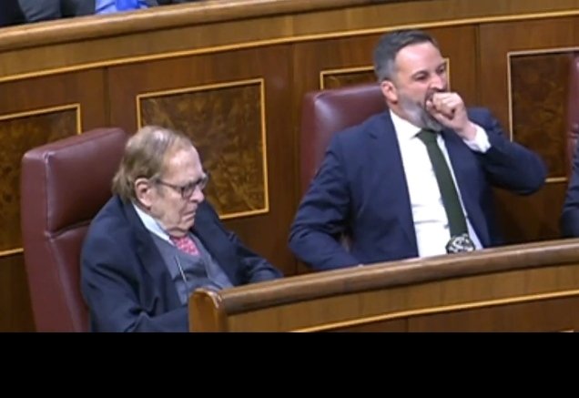 Tamanes durmiendo y Abascal bostezando.
La España facha que madruga 1 día cada 4 años.