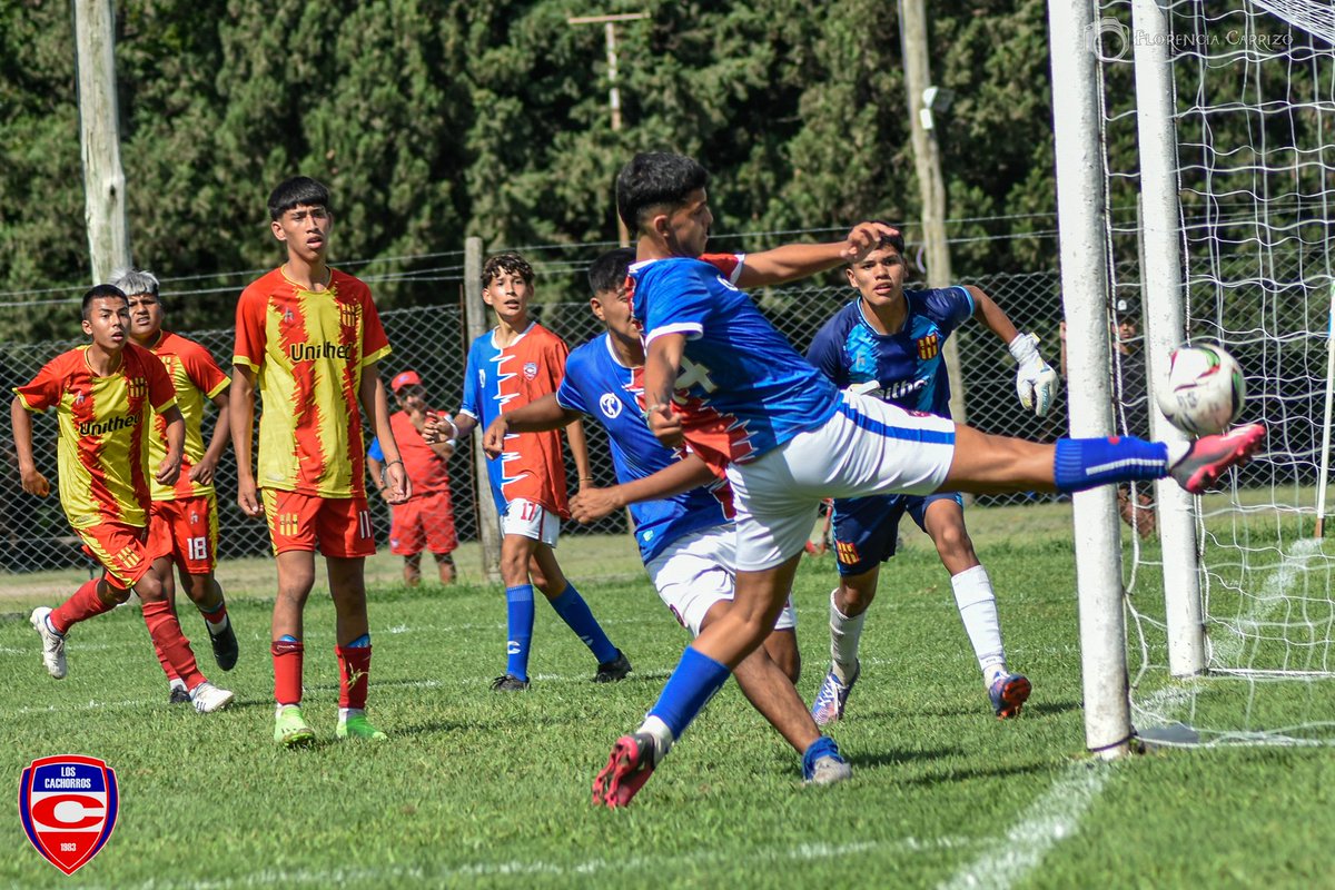 #Fútbol⚽️ / LA REDONDA VOLVIÓ AL RUEDO

1ra fecha Torneo Inferirores "Municipalidad de Salta"
3ra CACHORROS 1 - MITRE 3
4ta CH 4 - MIRRE 4 (📷)
5ta CH 4 - MITRE 5
6ta CH 4 - MITRE 2
7ma CH 1 - MITRE 2
8va CH 2 - MITRE 0
9na CH 4 - MITRE 1

#VamosCachorros💪🏽
#PasiónTricolor🔵⚪️🔴