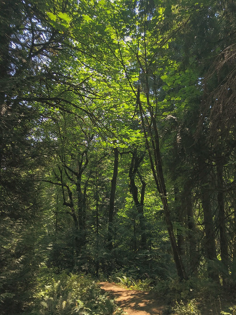 wsuvosi's tweet image. Join us this Saturday, 03/25, for an awesome volunteer opportunity! Trail Maintenence here on our local Cougar Trails with the Rec Center! From 9am-1pm, join other students and members from the community in a FREE volounteer opportunity.
For more info, contact: Van.osirec@wsu.edu